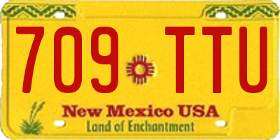 NM license plate 709TTU