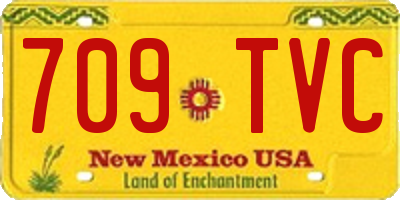 NM license plate 709TVC