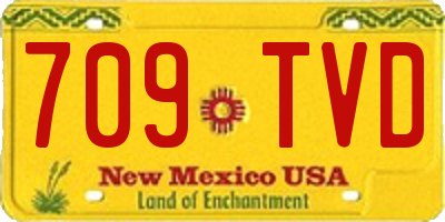 NM license plate 709TVD