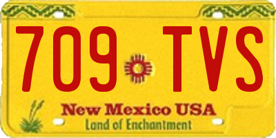 NM license plate 709TVS