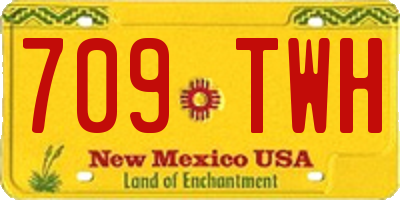 NM license plate 709TWH