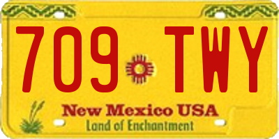 NM license plate 709TWY