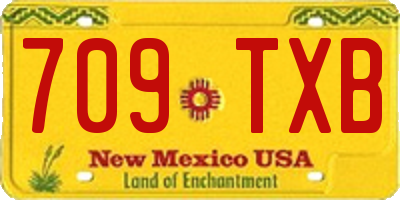NM license plate 709TXB