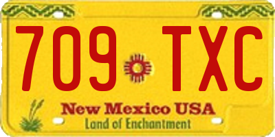 NM license plate 709TXC