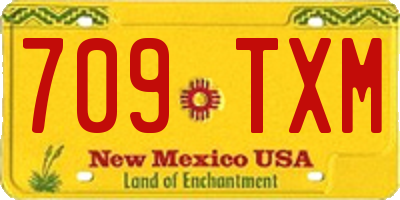NM license plate 709TXM