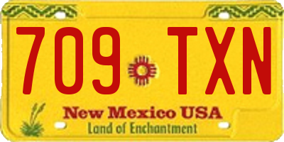 NM license plate 709TXN