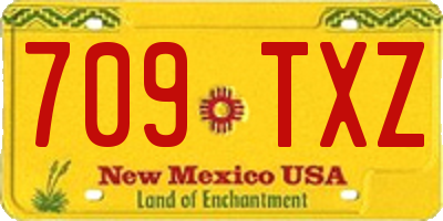 NM license plate 709TXZ