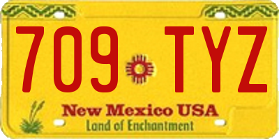 NM license plate 709TYZ