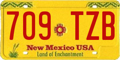 NM license plate 709TZB