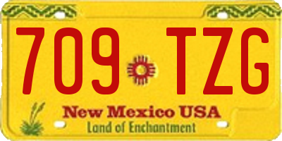 NM license plate 709TZG