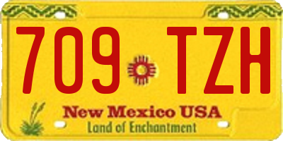 NM license plate 709TZH