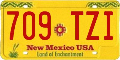 NM license plate 709TZI
