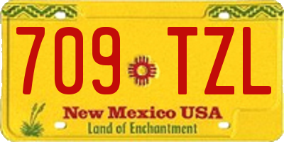 NM license plate 709TZL