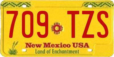 NM license plate 709TZS