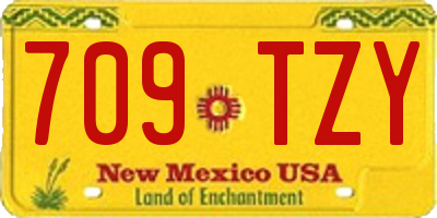 NM license plate 709TZY