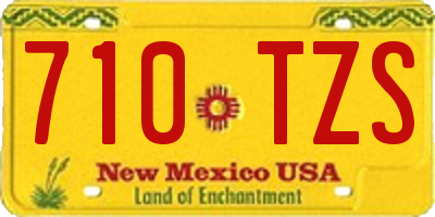 NM license plate 710TZS