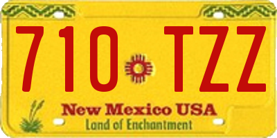 NM license plate 710TZZ