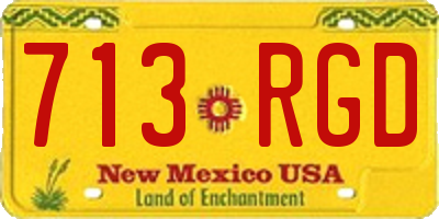 NM license plate 713RGD