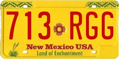 NM license plate 713RGG