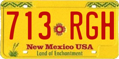NM license plate 713RGH