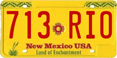 NM license plate 713RIO