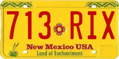 NM license plate 713RIX