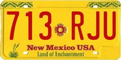 NM license plate 713RJU