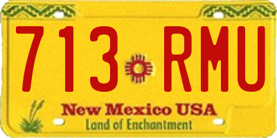 NM license plate 713RMU