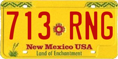 NM license plate 713RNG