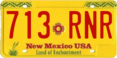 NM license plate 713RNR