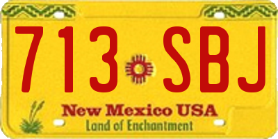 NM license plate 713SBJ