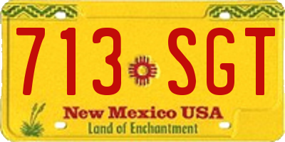 NM license plate 713SGT