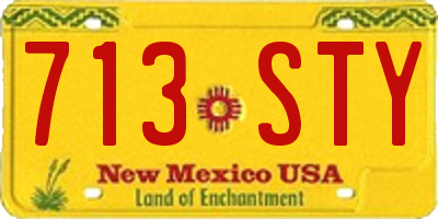 NM license plate 713STY