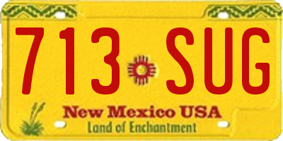 NM license plate 713SUG