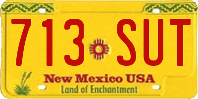 NM license plate 713SUT