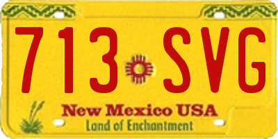 NM license plate 713SVG