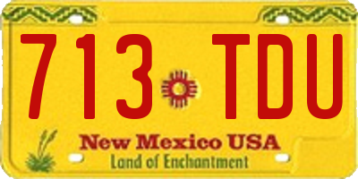 NM license plate 713TDU