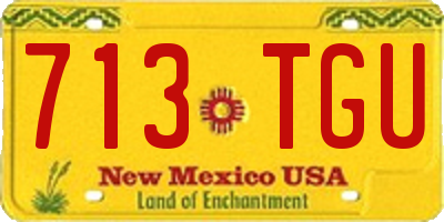 NM license plate 713TGU