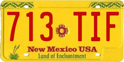 NM license plate 713TIF