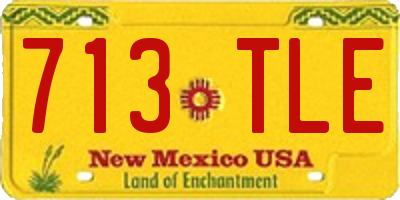 NM license plate 713TLE
