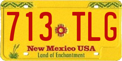 NM license plate 713TLG