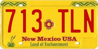 NM license plate 713TLN
