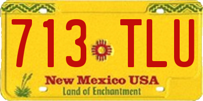 NM license plate 713TLU