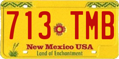 NM license plate 713TMB