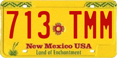 NM license plate 713TMM