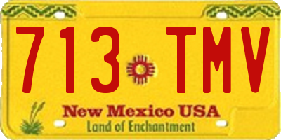 NM license plate 713TMV