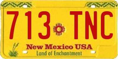 NM license plate 713TNC