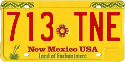 NM license plate 713TNE
