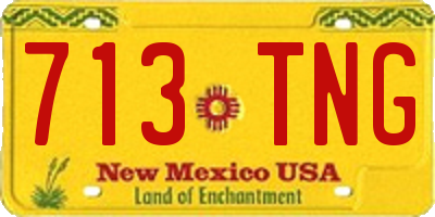 NM license plate 713TNG