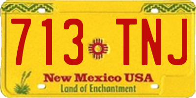 NM license plate 713TNJ